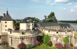 Appartement proche Ancenis - Loire et Vélo - 5