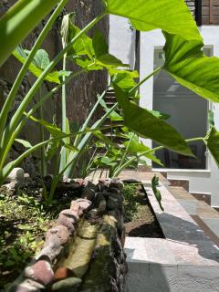 BIG HOUSE, Casa Padua - Guadalajara - 2