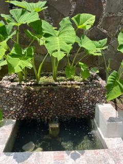 BIG HOUSE, Casa Padua - 8