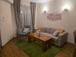 Bansko Boutique Apartments - Flora Boutique - 6
