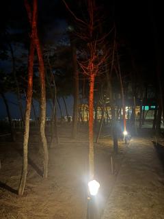 Hemashree Beach Stay Gokarna - 3