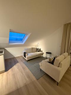 Skywalk Loft Willingen - 9