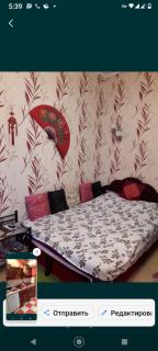 1 комнатная Пушкинская - 4