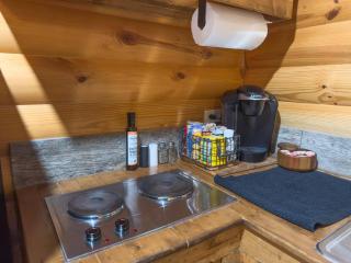 Tiny Log Cabin near Fossil Rim | Countryside Views - 3