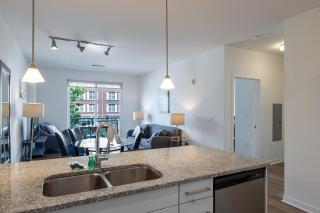 Luxury Apt with Gym and Pool - 8