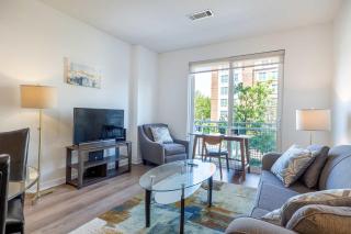 Luxury Apt with Gym and Pool - 7