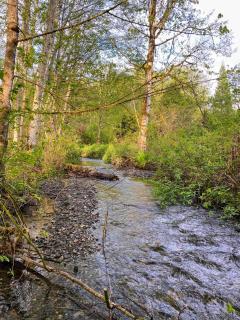 Whitehorse Mountain Retreat - Hot tub - Fireplace - 6