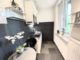 Cozy 1 room apartment in Zug - 6