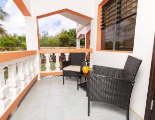 Coconut Haven - 2