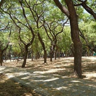 The green escape - 9