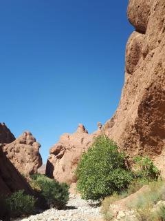 Auberge IMIN TAGHYA - 7
