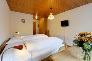 Hotel-Restaurant zum Gade - Lenk - 9