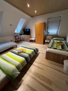 Zentrales Apartment in Würzburg-Heidingsfeld - 2