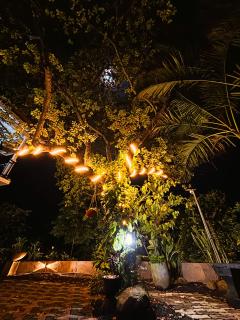 Green Villa Bandarawela - 3