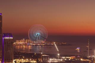 Amazing Palm View - Prime Location - Spacious - 4