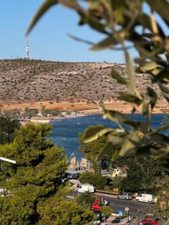 Apt 1' From The Sea With Private Terrace & BBQ - 8