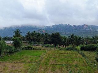 Tusker Trails Farm - 0