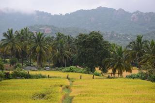 Tusker Trails Farm - 7