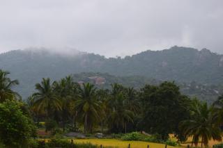 Tusker Trails Farm - 4