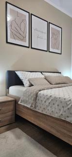 Apartman Vukota 2 Pirot - 6