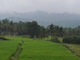 Tusker Trails Farm - 1