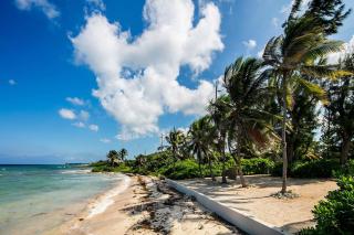 KiToCay by Grand Cayman Villas - 7