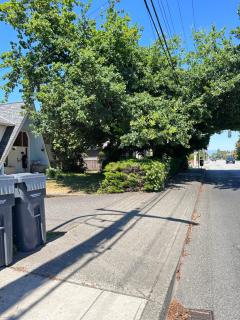 Simple Room with AC - 3