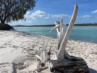 Dig's In The Valley - 6