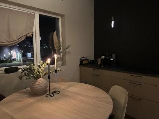 The apartment in the middle of Lofoten - 3