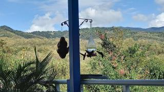 Maison indépendante avec piscine privée - 9