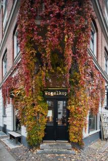 Vogelkop - Rest at the heart of Vesterbro - 5