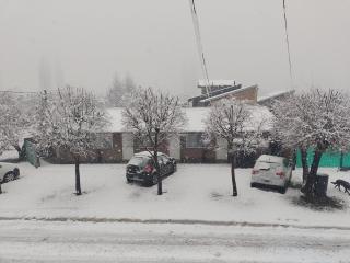 Los Lúpulos Departamentos Privados - 8