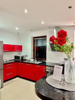 Modern Apartament in Kraków's Urban District - 0