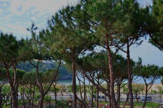 Serapo Bed and Breakfast - 2