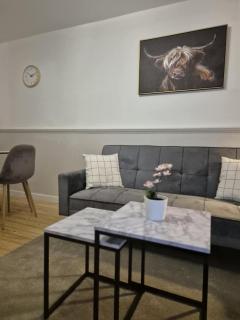 Modern apartment in Glasgow West End, free parking - 5