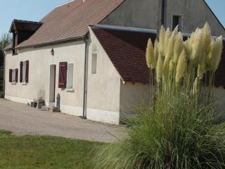 Gîte en Sologne avec Jardin Privatif, Proche Orléans et Châteaux de la Loire - FR-1-590-54 - 0