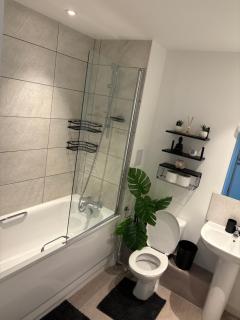 Perfect New Built Property, Wandsworth - 7