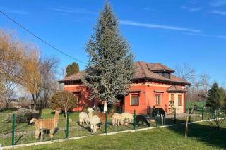 Family friendly house with a parking space Andrijasevci, Slavonija - 24939 - 0