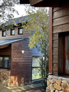 Cabañas ROCA DEL LAGO, en Villa Pehuenia - 7