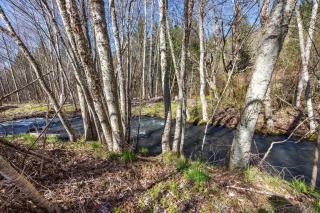 Neal Creek Retreat home - 7