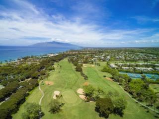 Wailea Grand Champions 31 - 9