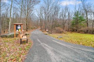 The Fallsburg Escape - 6