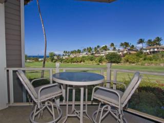 Wailea Grand Champions 73 - 1