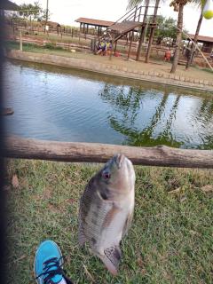 Apartamento Barretos Country Resort - 1