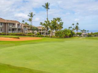 Wailea Grand Champions 152 - 9