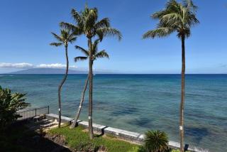 Kulakane 306 · KK 306 Remodeled BeachFront 2BD w Ocean Views AC - 3