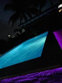 Les cocotiers d'Aladya - 2