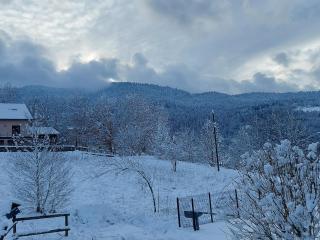 Nice Chalet with sauna in Vosges - 2
