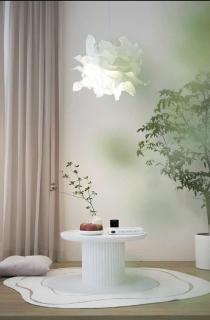 Mơ màng homestay - 6