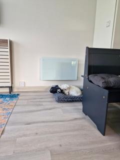 Modern Newly Renovated Home on the Broads - 5
